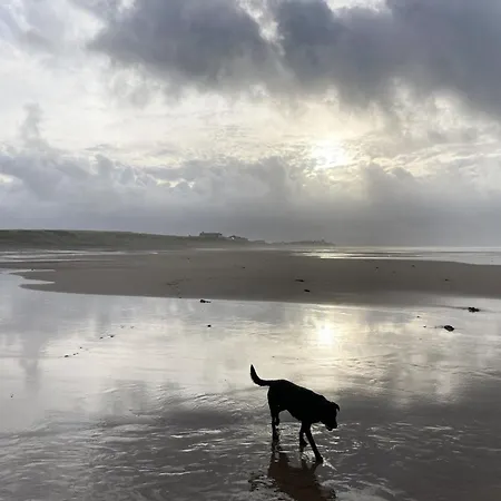 Harding House, Dog Friendly Close To The At Holiday home