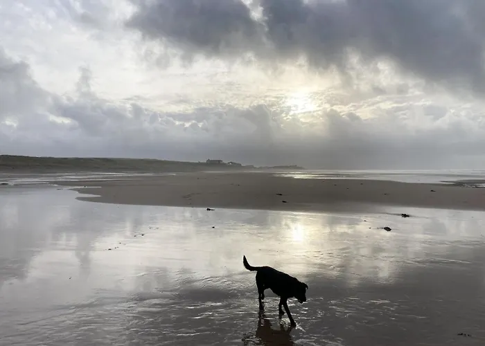 Harding House, Dog Friendly Close To The At Holiday home