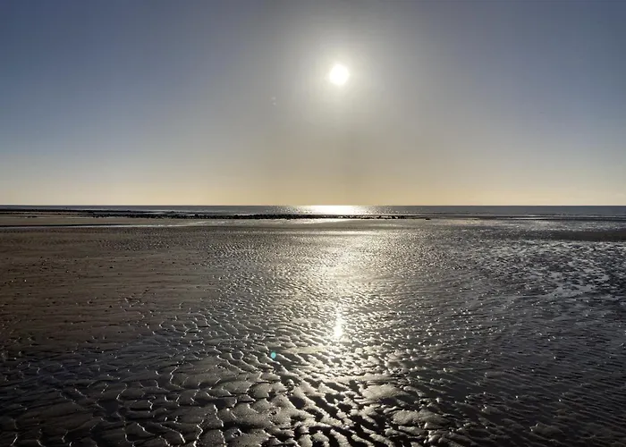 Harding House, Dog Friendly Close To The At Holiday home *